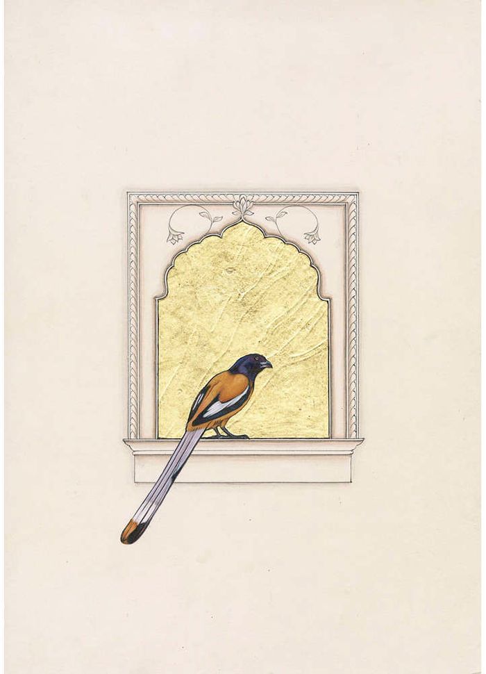 the bird’s balcony